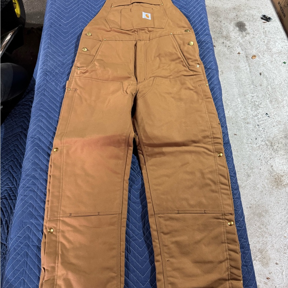 Carhartt Insulated Work Bibs